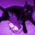 Lorraine Brewer's profile image