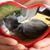 Carol Gardy's profile image