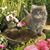 Susan Fink's profile image