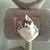 Nancy Powell's profile image