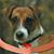 Sheila Murphy's profile image