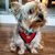 Nelson Roman Billini's profile image