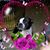 Patricia A Watson's profile image