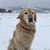 Annie Klimsza Tunkey's profile image