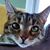 Tracy Seiler's profile image