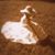 Kira Lyn Kitchens's profile image