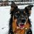 Susan Reagan Daniel's profile image
