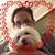 Liz Belitz's profile image