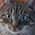 Linda Cocco's profile image