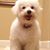 Gicky Roxas's profile image