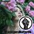 Sarah Anderson-Krim's profile image
