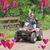 Susan Virnig Brown's profile image