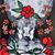Nicolle von Tempsky's profile image