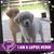 Teresa Boltinghouse's profile image