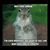 Patricia Perales's profile image