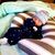 NicoleDustin Touchton's profile image