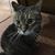 Donna Orme's profile image