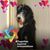 Sue Duval's profile image