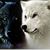 Kristen Timberwolf's profile image