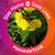 Joyce Edwards Wilkins's profile image