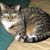 JoAnn Joraskie Kudola's profile image
