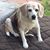 Charlyn Sabbides's profile image