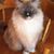 Brenda Parker's profile image