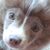 Shawna Shoemaker's profile image