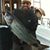 Steven Youssef's profile image