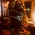 Cecilia Quijano's profile image