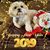 Jeanette Miller Shade's profile image