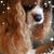 Melissa Ryzy's profile image