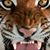 Al Alza's profile image