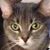 Janice Burgan's profile image