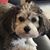 Tracy Cullers's profile image