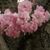 Linda Rivera's profile image