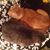 Beckey Scarbrough's profile image