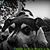 Tammy Tapley Todd's profile image