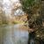 Cynthia Allison Bishop's profile image