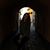 Addison Hagan's profile image