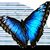 Brian Hunter's profile image
