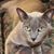 Diane Wilson's profile image