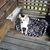Juanita Matheson's profile image