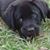 John McGarvey's profile image