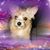 Fabiola Martinez's profile image