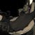 Elvir Sadzak's profile image