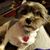 Marlys Brown's profile image
