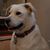 Diana Hoogland's profile image