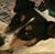 Valerie Wilson's profile image