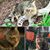 Aimee Cobb Brooks's profile image